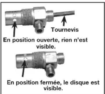 DEWALT DCBP034 - Remplacement ou nettoyage de la soupape de retenue - 1