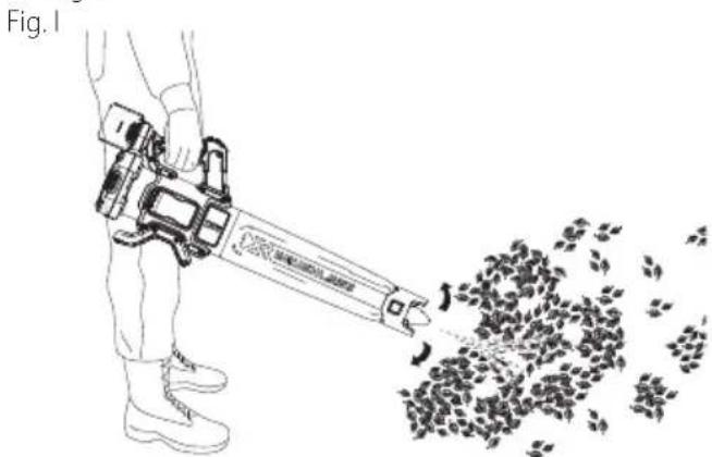DEWALT DCBL722 - Uso (Fig.1) - 1
