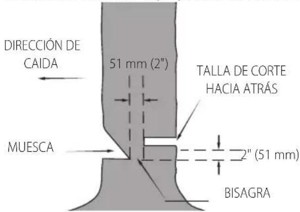 DEWALT DCCS672 - Tala - 2