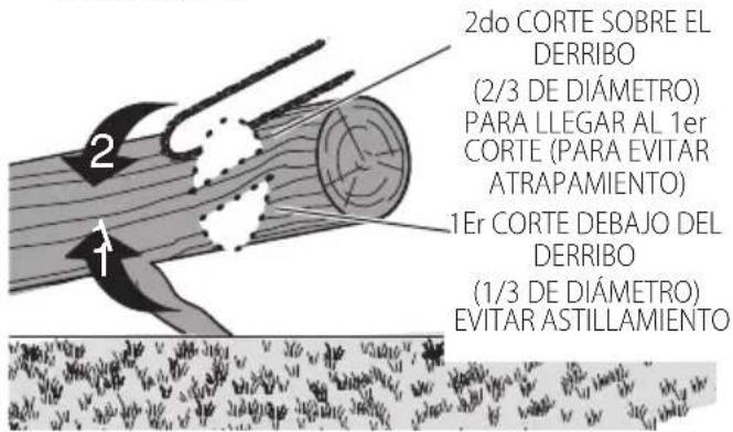 DEWALT DCCS672 - Corte de ramas - 4