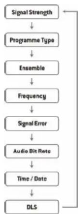 Audizio Arles - DLS (DYNAMIC LABEL SEGMENT) - 1