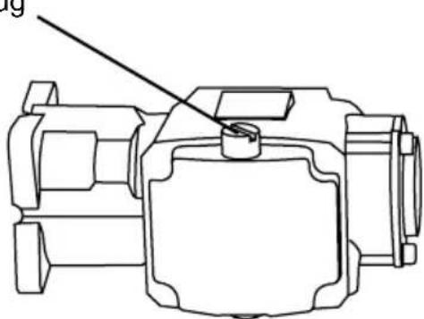 Simpson ALIR3040012B - Adding the pump breather cap (if applicable) - 1