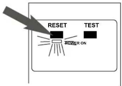 Simpson ALIR3040012B - ampere style - 2