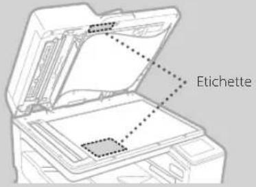 CANON WG7550Z - Pulizia delle aree di scansione dell'alimentazione dei documenti - 1