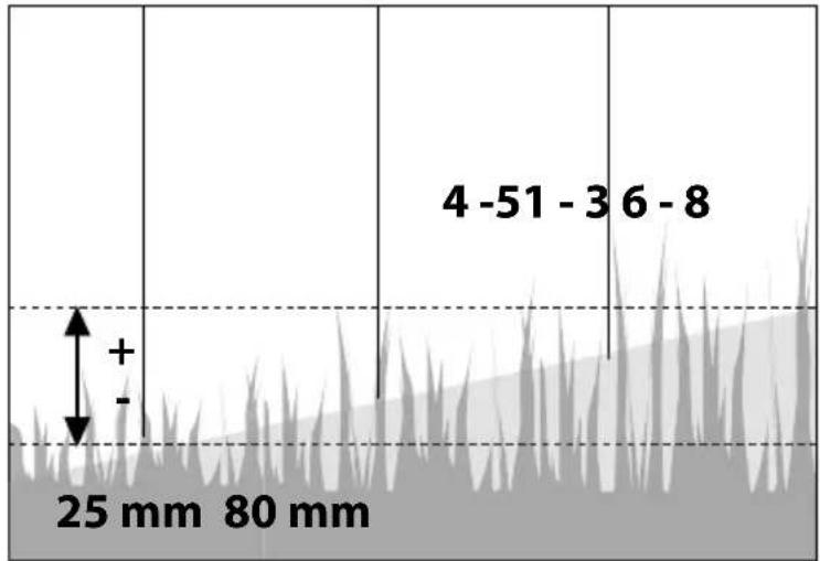 Güde Big Wheeler 534.2 R - (1d) Seitenauswurf - 41