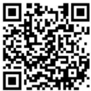 MEDION LIFE P85027 (MD 88069) - Installation via direct link - 2