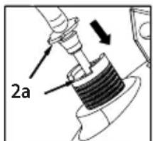 2a