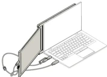 MOBILE PIXELS Duex Plus - Options de connexion - 3