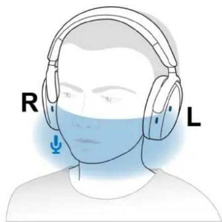 DELL WL7024 - Capture du son avec le microphone boomless - 2