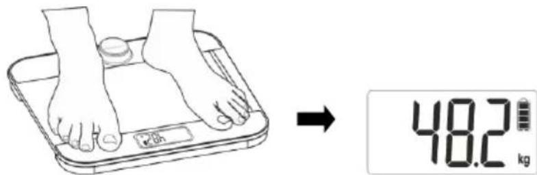 Haeger BS-DIG.011A - Manual de Instruções 5 - 2