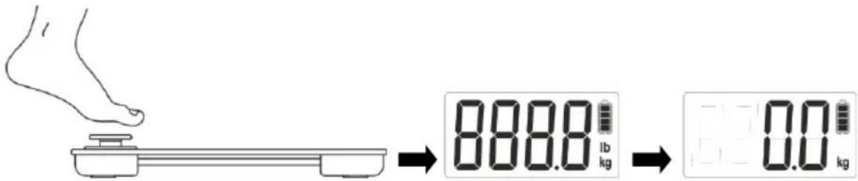 Haeger BS-DIG.011A - Manual de Instruções 5 - 1