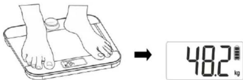 Haeger BS-DIG.011A - Instructions for use 1 - 2