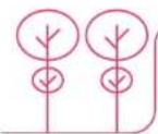MySoda Toby - How a tree transforms into a sparkling water maker - 1
