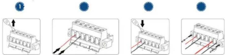 Intellinet 561624 - B) Installazione morsettiera - 1