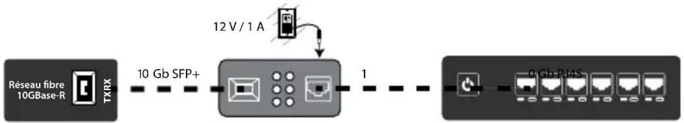 Intellinet 508193 - Connexions - 1