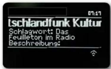 REVO SuperConnect Stereo - Radio DAB+ - 1