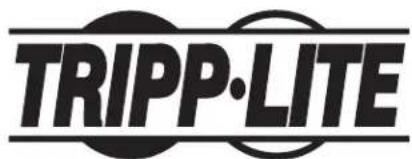 Tripp Lite CSCXS16USB - Información de sobre Cumplimiento de la WEEE para Clientes de Tripp Lite y Recicladores (Unión Europea) - 2