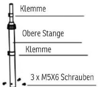 Sonnenkönig Gustav - Packungsinhalt - 3