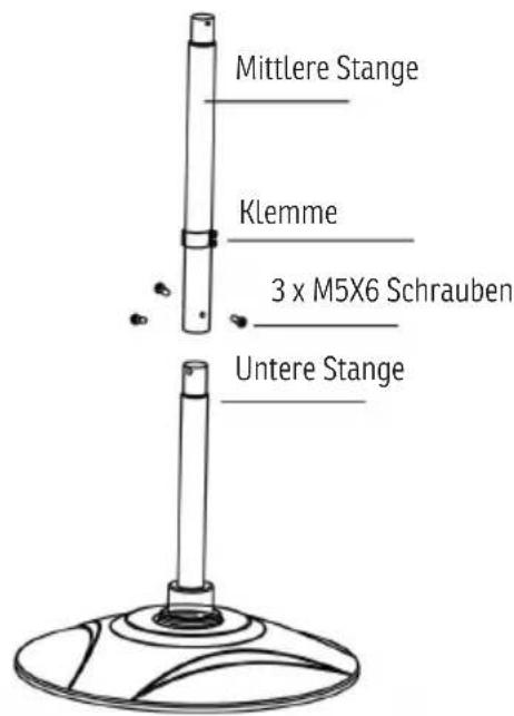 Sonnenkönig Gustav - Packungsinhalt - 4