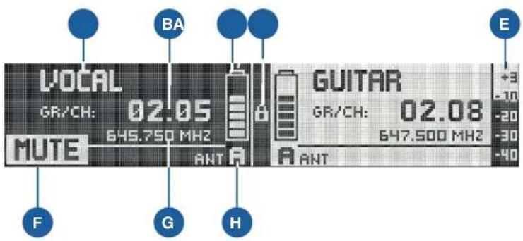 VOCAL GR/CH: 02.05 645.750 MHz MUTE ANT GUITAR GR/CH: 02.08 647.500 MHz ANT F G H BA E