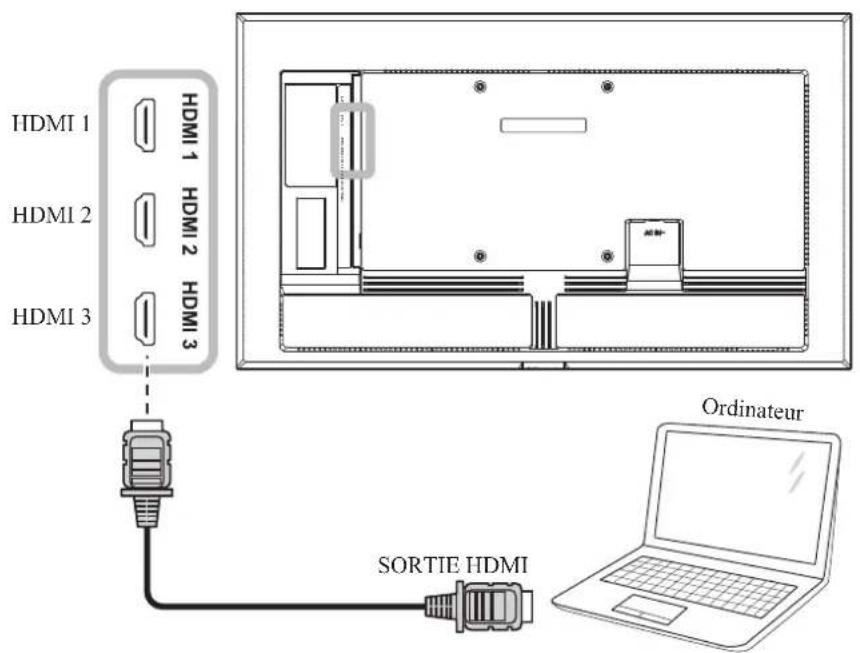 AG Neovo NSD-6503 - Avec l'entrée HDMI - 1