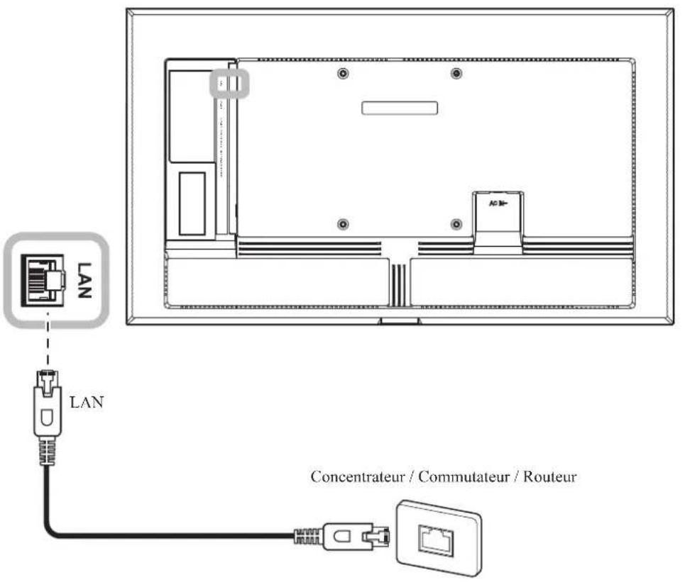 AG Neovo NSD-6503 - Connexion à un réseau cable - 1