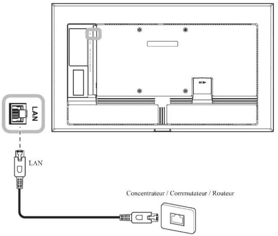 AG Neovo NSD-3203 - Connexion à un réseau câblé - 1
