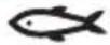 PHILIPS NA229 - Merk - 5