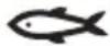 PHILIPS NA229 - Uwaga - 5