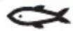 PHILIPS NA229 - Hinweis - 5