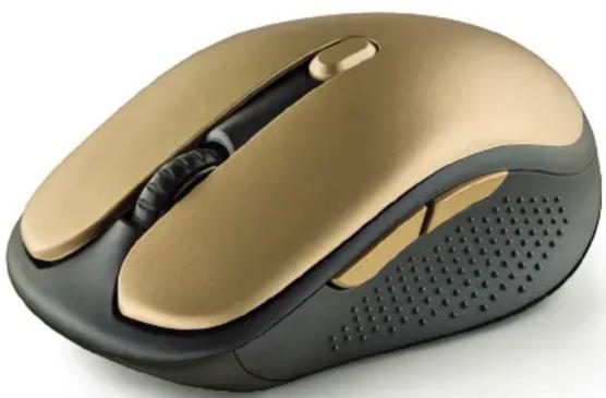 NGS EVO RUST - EVO RUST GOLD - 1