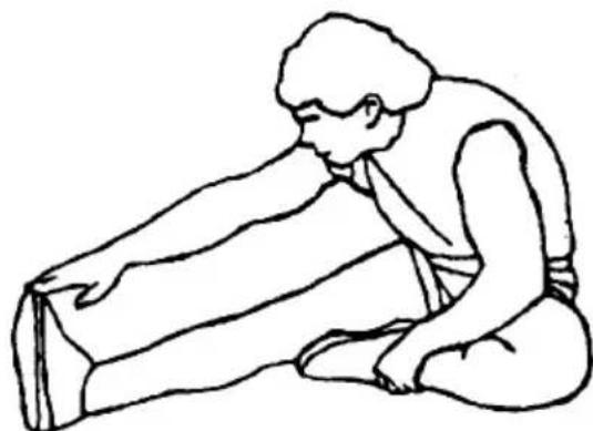 SereneLife SLFTRD14 - HAMSTRING STRETCHES - 1