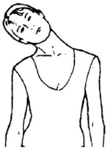 SereneLife SLFTRD14 - HEAD ROLL - 1