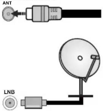 SALORA 65QLED320 - Antenna Connection - 1