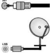 SALORA 65UA550 - Antenna Connection - 1