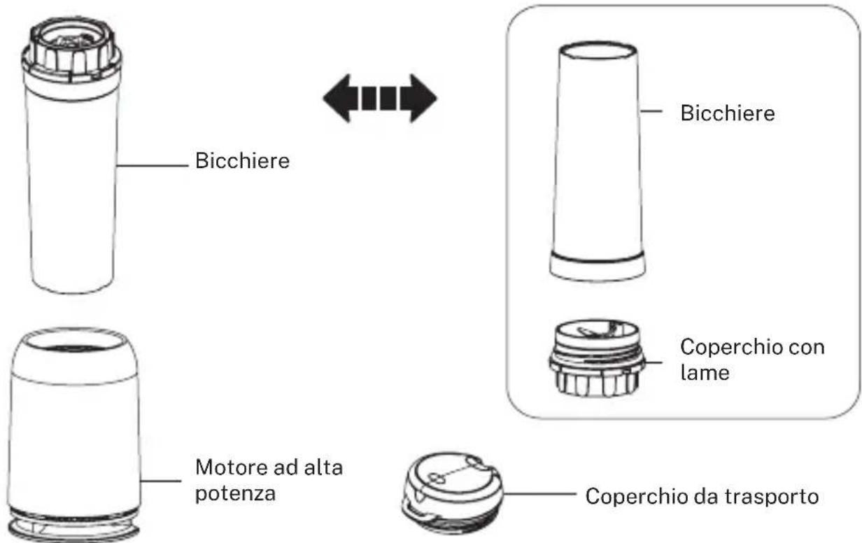 Create MOI - MODELLO - 1