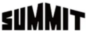 Summit LWC2Z194 - DISCLAIMER OF IMPLIED WARRANTIES; LIMITATION OF REMEDIES - 2