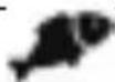 Arendo 303590 - Usage - 6