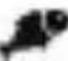 Arendo 303590 - Programmi - 5
