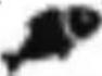 Arendo 303590 - Programas - 5