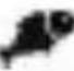Arendo 303590 - Programas - 5