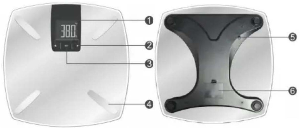 Mybeo 303262 - Product details - 1