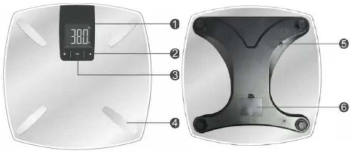 Mybeo 303262 - Produkt-Details - 1