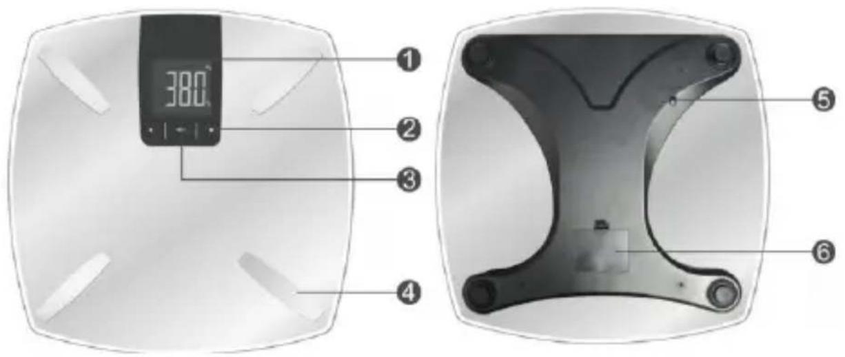 Mybeo 303262 - Detalles del producto - 1