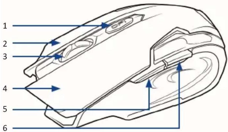CSL 302371 - Produkt-Details - 1
