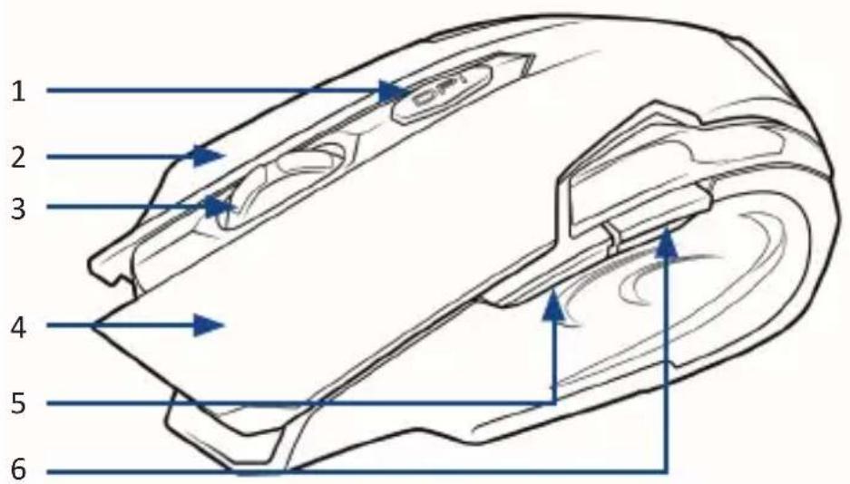 CSL 302371 - Dettagli del prodotto - 1
