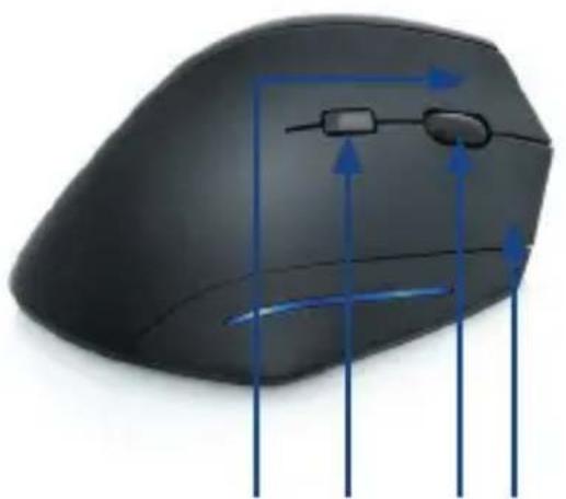 CSL 301079 - Product details - 2