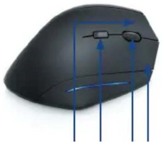 CSL 301079 - Detalles del producto - 2