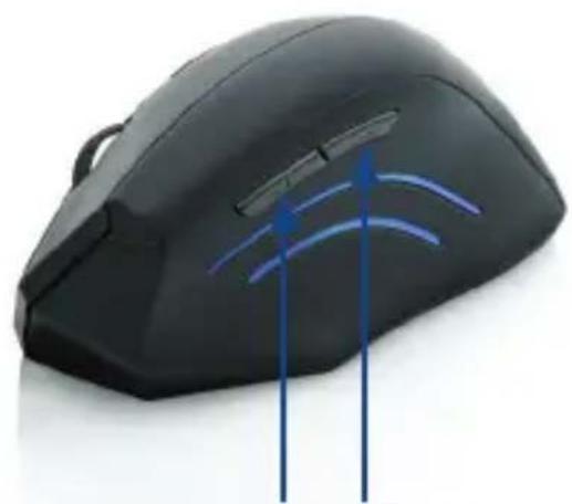 CSL 301079 - Product details - 3