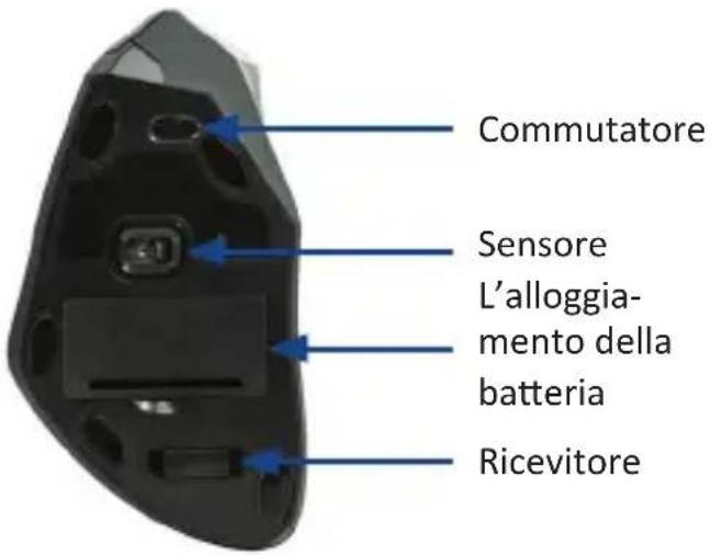 CSL 301079 - Dettagli del prodotto - 1